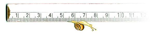 Friedrich Schnecke Meterstab